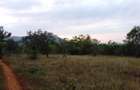 9 ac Land at Ithanga - 8