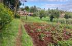 4,000 m² Land in Limuru - 11