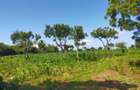 Land in Kilifi County - 12