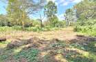 Residential Land at Spring Valley Lower Kabete - 7