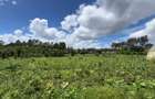 0.5 ac Residential Land in Karen - 9