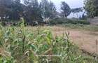 Residential Land in Ngong - 4