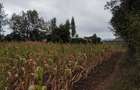 Land at Ngong - 10