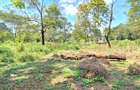Residential Land at Spring Valley Lower Kabete - 4