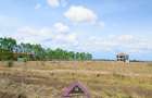 0.125 ac Land at Joska - 6