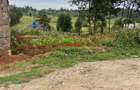 0.05 ha Residential Land in Kikuyu Town - 10