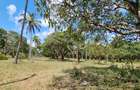 6 ac Land at Mtwapa - 5