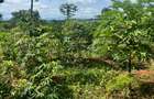 2 ac Land at Karingani - 4