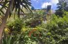 4 Bed House with Garden in Muthaiga - 2