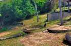 Land in Shanzu - 16