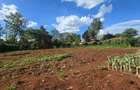1.2 ac Land in Runda - 3