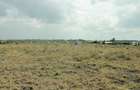 0.075 ha Land at Kitengela - Pine Breeze Estate - 4
