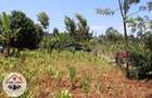 700 m² Residential Land at Kamuita Area - 9