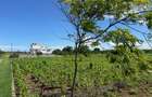 Land in Vipingo - 6