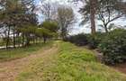 0.25 ac Commercial Land in Kiambu Road - 17