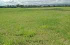 0.125 ac Land at Salgaa - 7