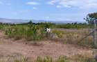 1 ac Land in Nanyuki - 5