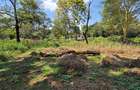 Residential Land at Spring Valley Lower Kabete - 2