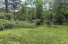 1 ac Land at Old Muthaiga Estate - 2