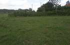 0.25 ac Land in Ongata Rongai - 3