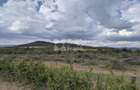 9.7 ac Land in Nanyuki - 1