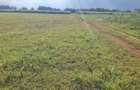 Land at Eldoret - 3