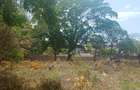 0.25 ac Land at Greenwood Drive Nyali - 1