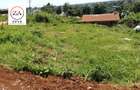 0.25 ac Land at Rwaka - 5