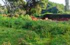 Residential Land at Karen - 3