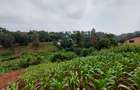 Residential Land at Kitisuru Ridge 44 - 17