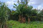 0.25 ac Residential Land at River Side Drive - 6
