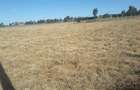 5 ac Land in Kiserian - 1