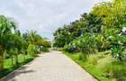 Land at Vipingo - 3