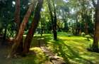 3 Bed Apartment with Swimming Pool at Easy Access To Express Way / Waiyaki Way Westlands - 4
