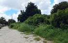 Land at Malindi - 9