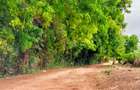 40 ac Land at Vipingo Kuruwitu - 5
