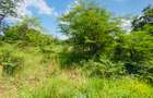 19 ac Land at Kenol-Makutano Highway - 16