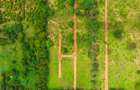 1,012 m² Residential Land at Kuruwitu Blue Green Estate Vipingo - 15