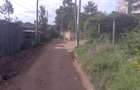 0.25 ac Commercial Land at Maasai Lodge Road - 3