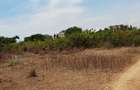 Land at Shanzu - 10