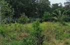 Land in Kilifi - 7