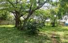 Land at Shanzu Serena - 17