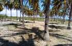 25 ac Land at Kikambala Beach - 8