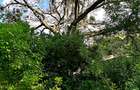 8,093.72 m² Land at Mtwapa Creek Aloo Drive - 8