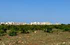 5 ac Land at Utalii -Campus - Vipingo - 11