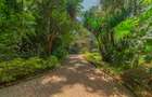5 Bed Townhouse with En Suite in Kitisuru - 9