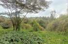 2 ac Land in Karen Hardy - 1