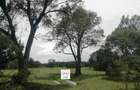 70 ac Commercial Land at Masai Mara - 1