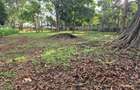 Land in Thigiri - 3