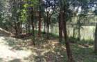 26 ac Land in Karen - 3